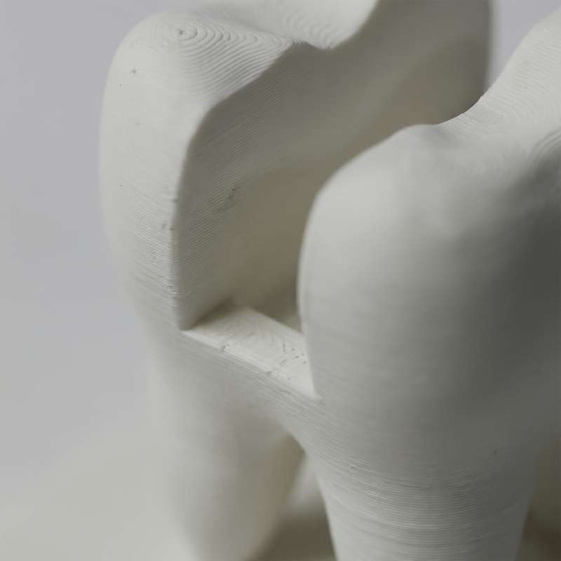 3D 프린팅된 치아 모양 명함 홀더 치과 진료소 접수  - 3D Printing Examples 리뷰 및 가격